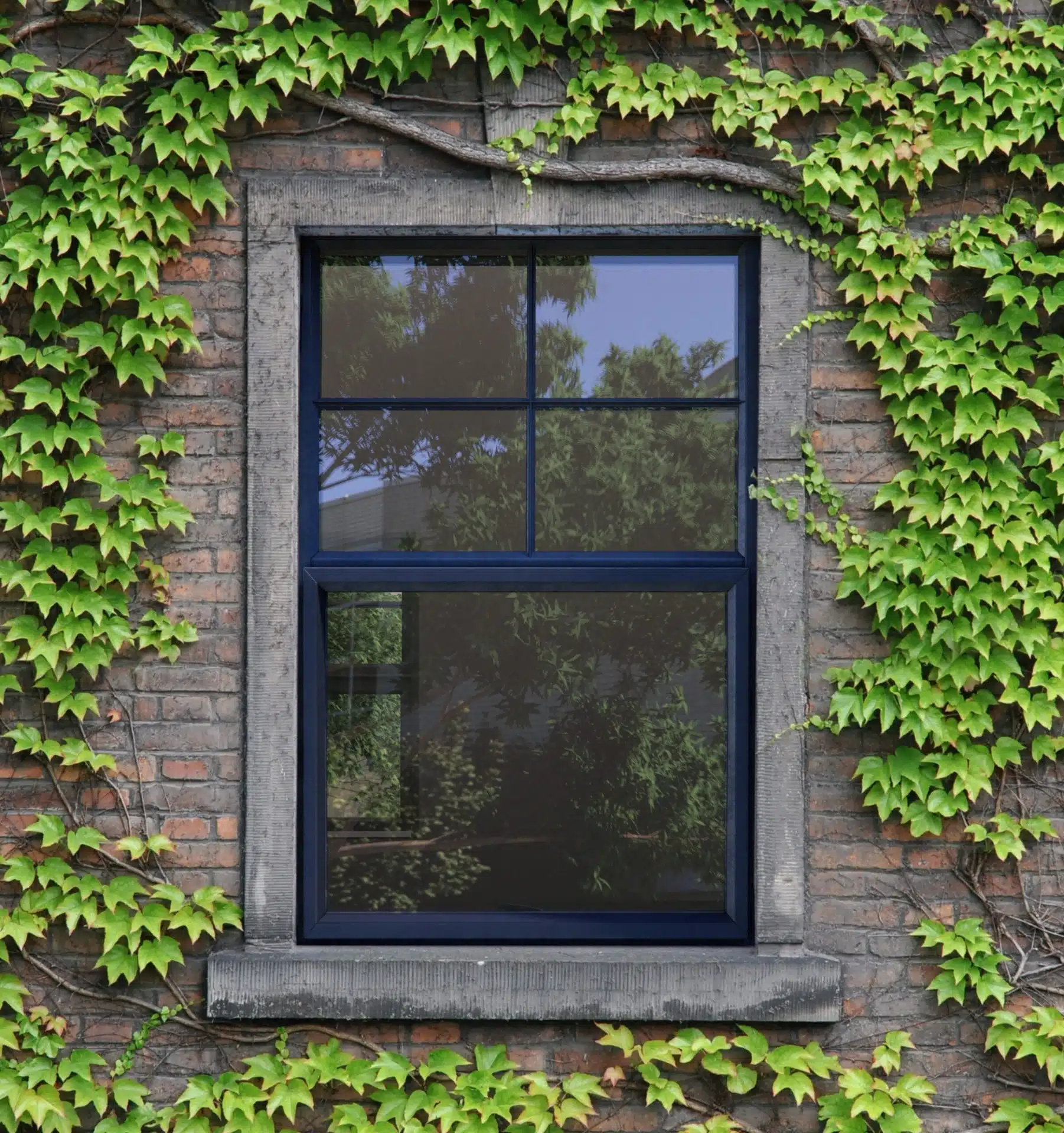 Nx Series Thermal Windows Kawneer Window Solutions