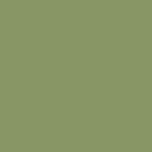 Light Green Permacoat